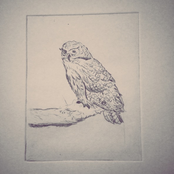 Wise Owl Drypoint Print